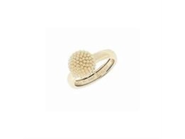 Ring - Zilver | Pesavento