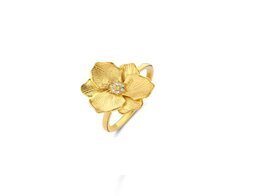 Ring - Briljant Zilver | Diamanti per Tutti