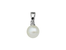 Hanger - Zilver | Kasius