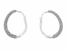 Oorbellen - Zilver | Pesavento