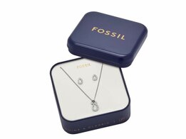 Set - Staal | Fossil