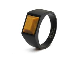 Ring - Titanium | Gemini