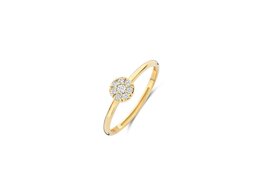 Ring - 14 kt | Blush