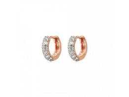 Oorbellen - 18 kt Verguld ® | Bronzallure