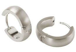 Oorbellen - Titanium | Boccia