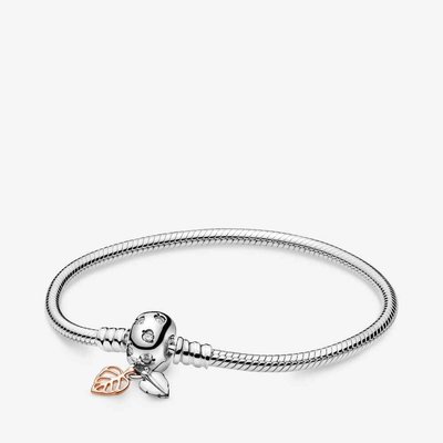 Charm Armband - Zilver | Pandora