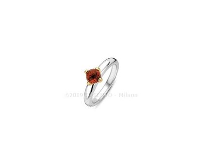 Ring - Zilver | Ti Sento