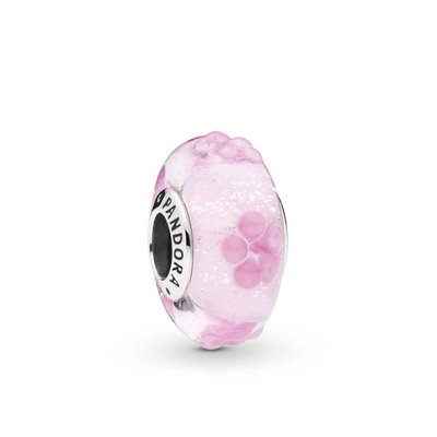 Charms - Zilver | Pandora
