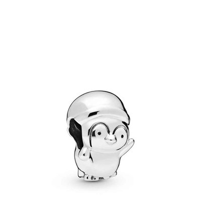 Charms - Zilver | Pandora