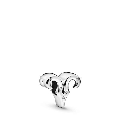 Charms - Zilver | Pandora