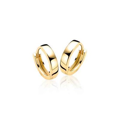 Oorbellen - Zilver | Zinzi