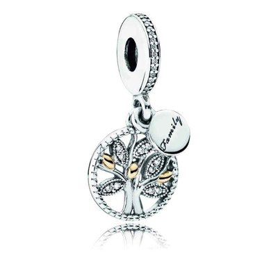 Charms - Zilver | Pandora