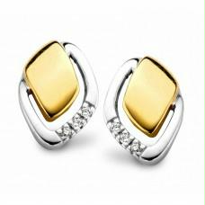 Oorbellen - Briljant 18kt | Basic