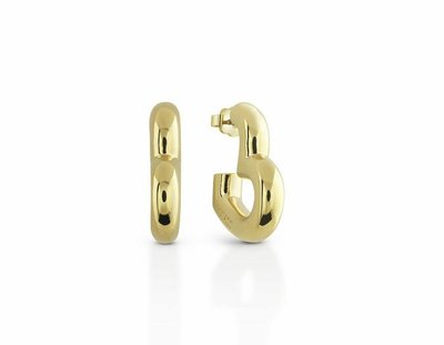 Oorbellen - * | Guess