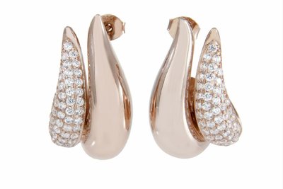 Oorbellen - Zilver | Bronzallure