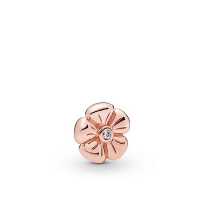 Accessoires - Zilver | Pandora