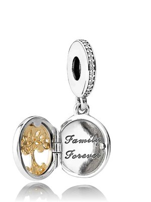 Charms - Zilver 14kt | Pandora