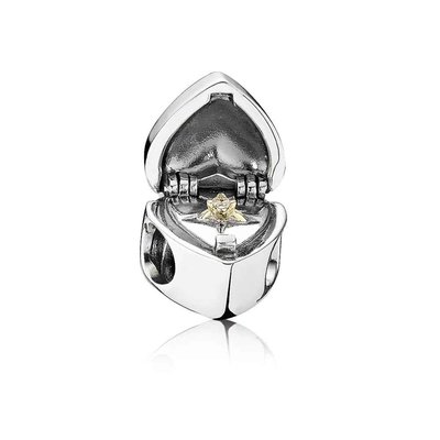 Charms - Zilver | Pandora