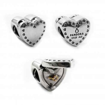 Charms - Zilver | Pandora